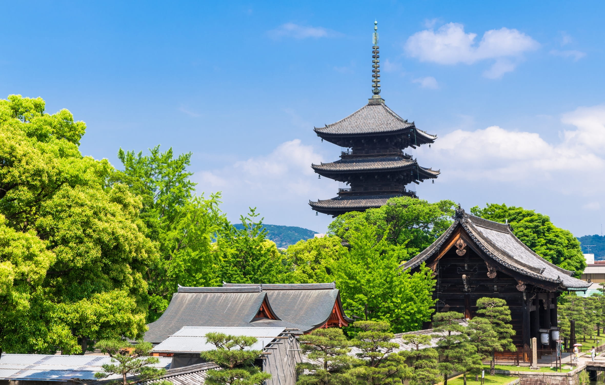 Mkトラベル 京都発のご旅行 観光 ツアー予約